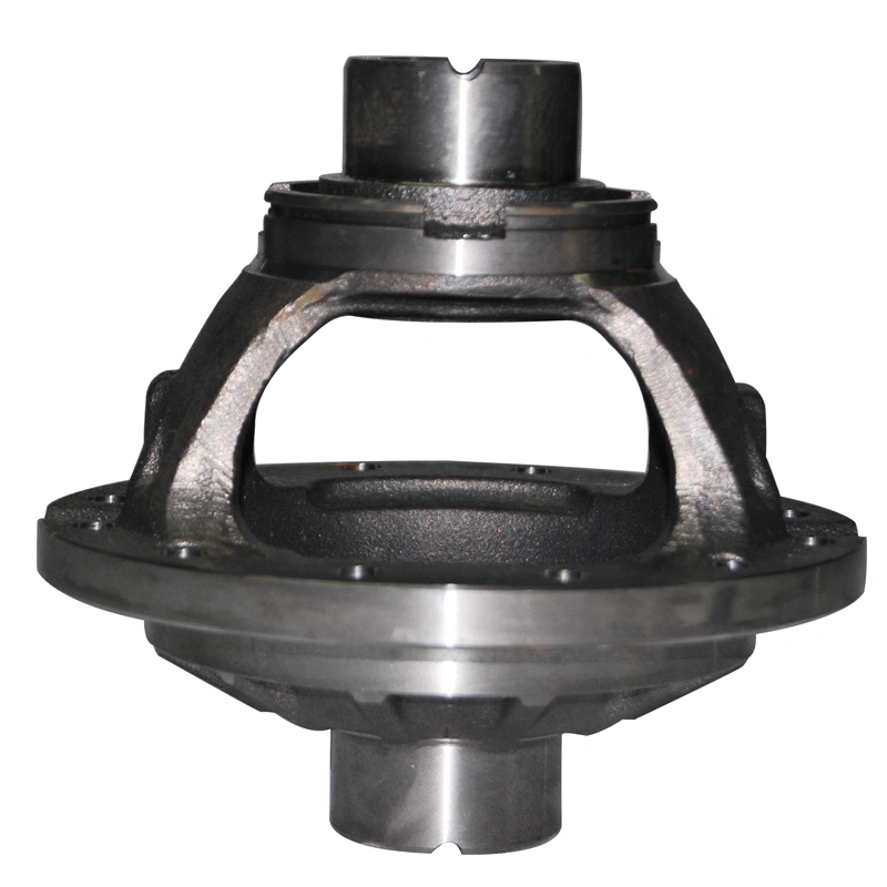 Ductile Iron Casting Assembly Parts Differential Case