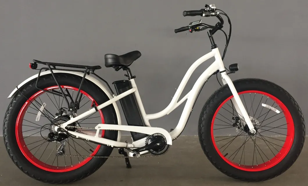 Fat Tire Electric Bike for Women 26inch/ 750W Ebike En15974 E-Bike