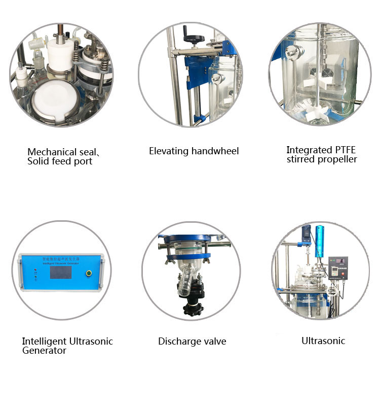 Customized Ultrasonic double layer glass reactor