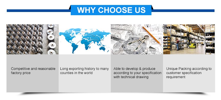 6 لماذا تختار لنا 6 Why Choose Us