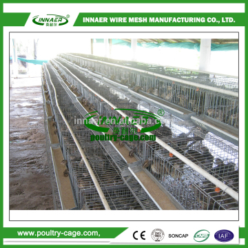 quail breeding cages