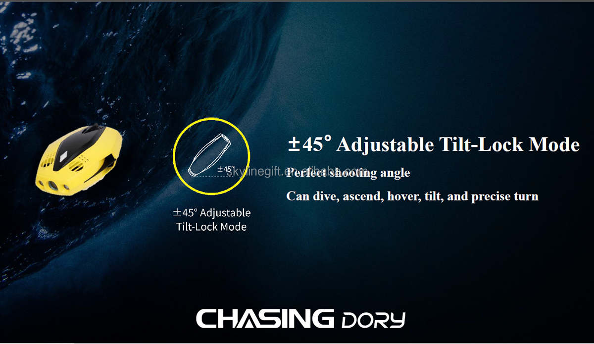 Underwater Drone CHASING DORY Underwater photos and videos for underwater exploration