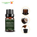 Óleos de aroma chá branco óleo essencial por atacado natural