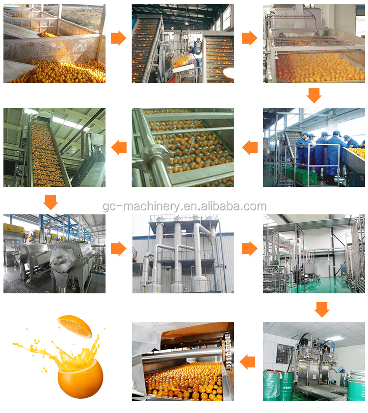 Automatic tomato paste processing machine tomato paste processing plant for sale
