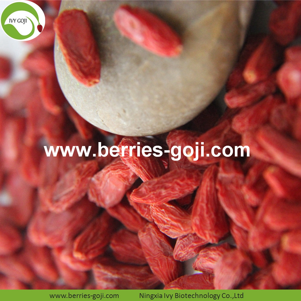 goji berry