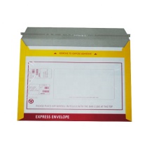 Delivery Board Bags DHL Express Document Envelopes