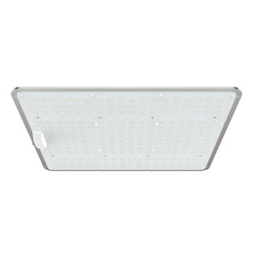 Bảng lượng tử Led Tăng trưởng 660nm