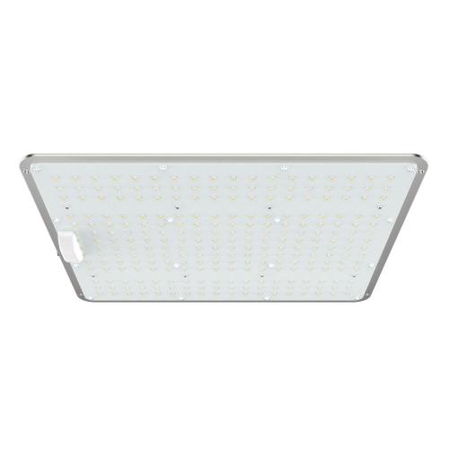 Scheda Quantum Led Grow Light 660nm