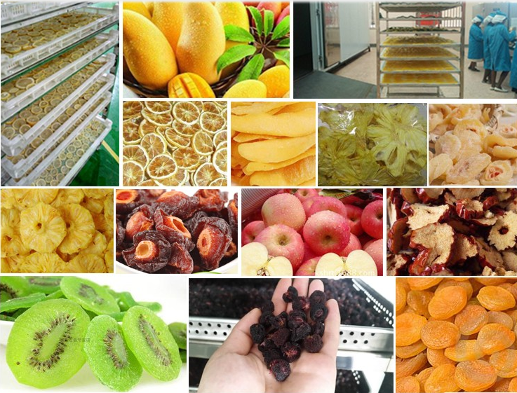 Food dehydrator commercial use apricot fruit heat pump drying machine