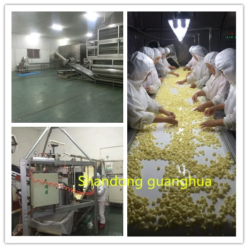 Good Quality New Crop Garlic Granule Delicous Spicy