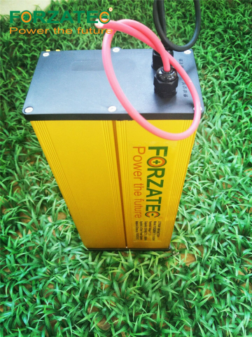 24V30Ah LFP Lithium-ion Battery