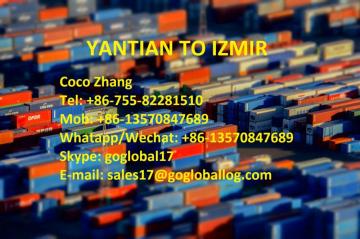 Shenzhen Yantian Sea Freight to Turkey Izmir