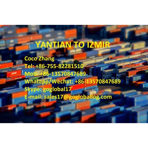 Shenzhen Yantian Sea Freight to Turkey Izmir