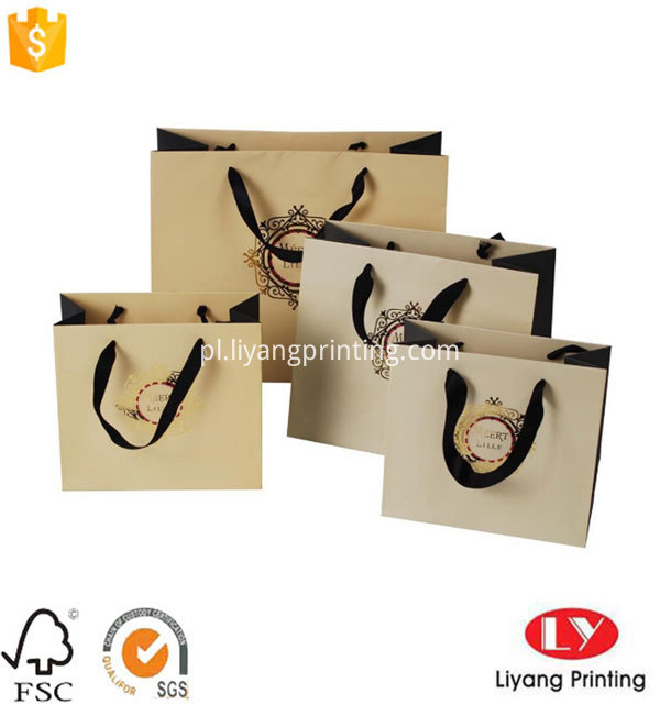 Paper Gift Bag