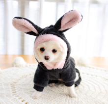 Halloween Pet Costume Dog Clothes