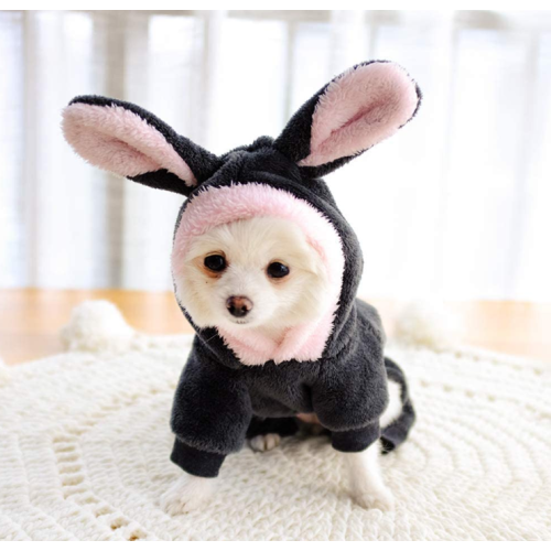 Vestiti per cani costume per animali domestici di Halloween