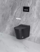 smart wall hung toilet