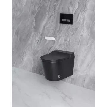 smart wall hung toilet