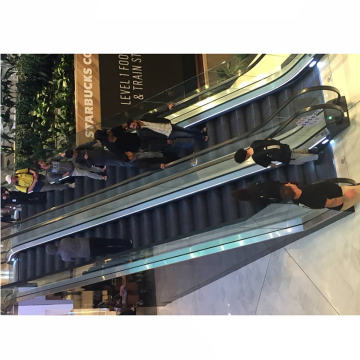 Indoor Home Elevator and Escalator Cost Guide