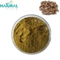 Extrato de Bupleurum Sinensis Extrato de raiz de Thorowax