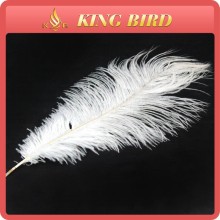 wedding decoration ostrich feather
