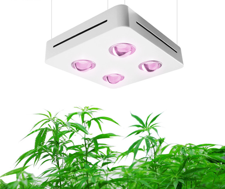 Led Cob Full Spectrum Led Cob Full Spectrum