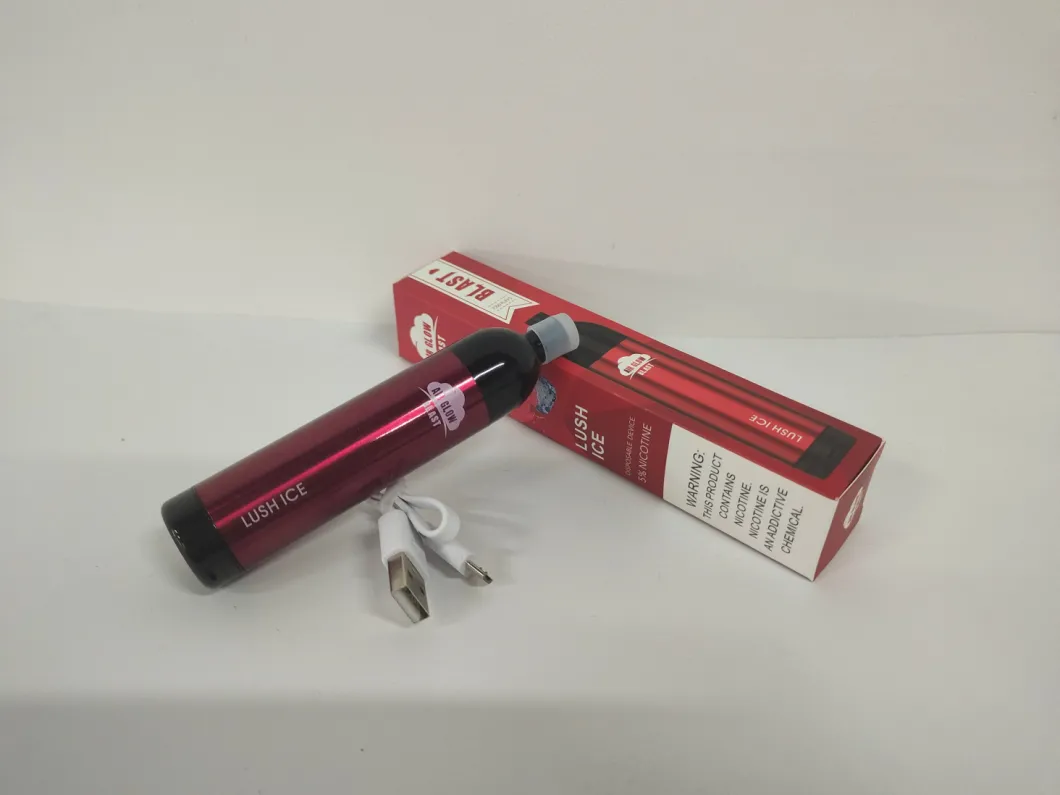 2021 Best Weed Vape Pen for Sale Big Smoke 7000 Puffs Pen Vaporizer