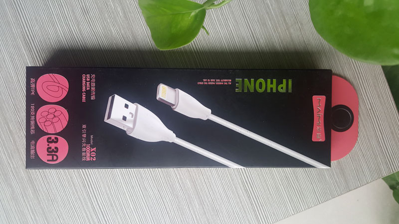 Câble de chargeur d'Apple Apple Charger Cable