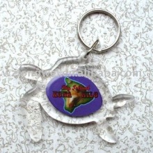 fish shaped plastic acrylic keyring photo frame