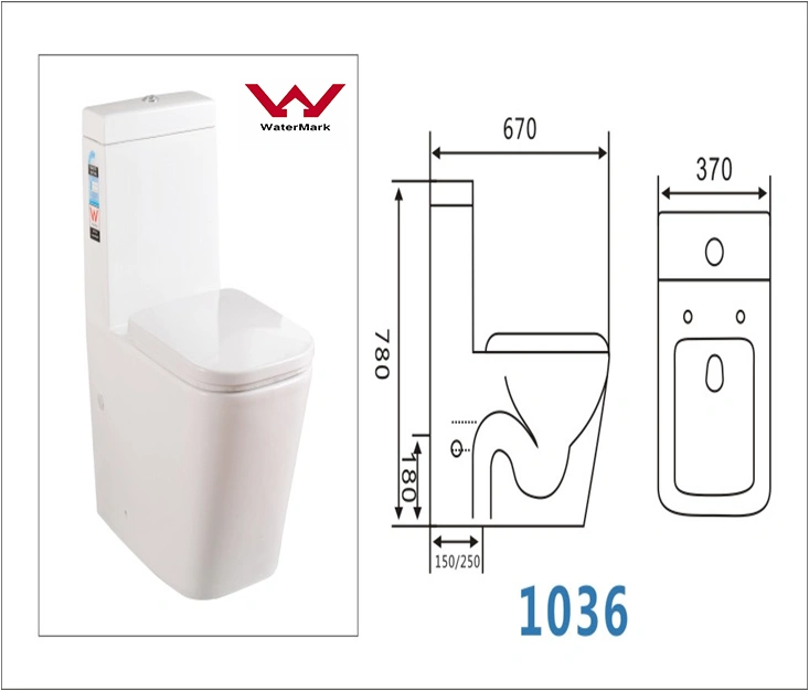 Foshan Sanitary Ware Chaozhou Toilet Ceramic