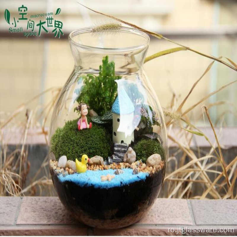Terariul din sticlă pentru plante de masă