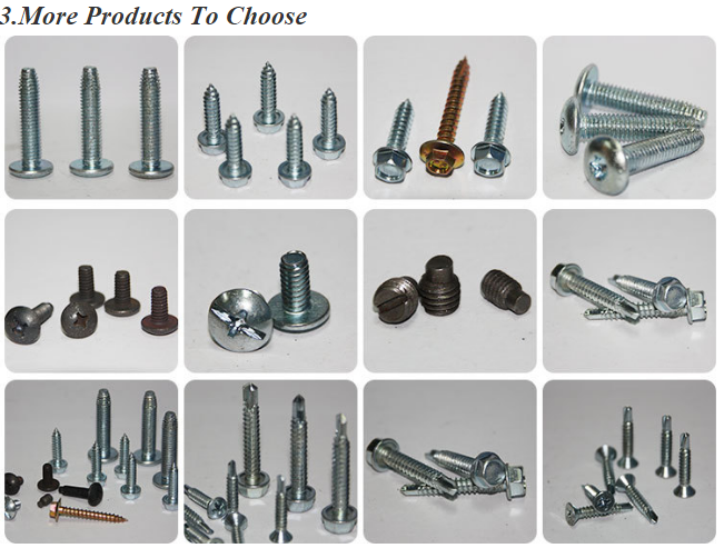 Stainless Steel Flat Nuts