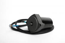 PTT Marine Outboard Motor