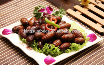 Good Quality Dried Silkworm