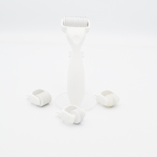 DNS 0.5mm 4 in 1 Skin Roller Kit