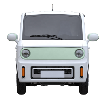 Electric Trucks H01 Double Seat New Energy (On a Boat)