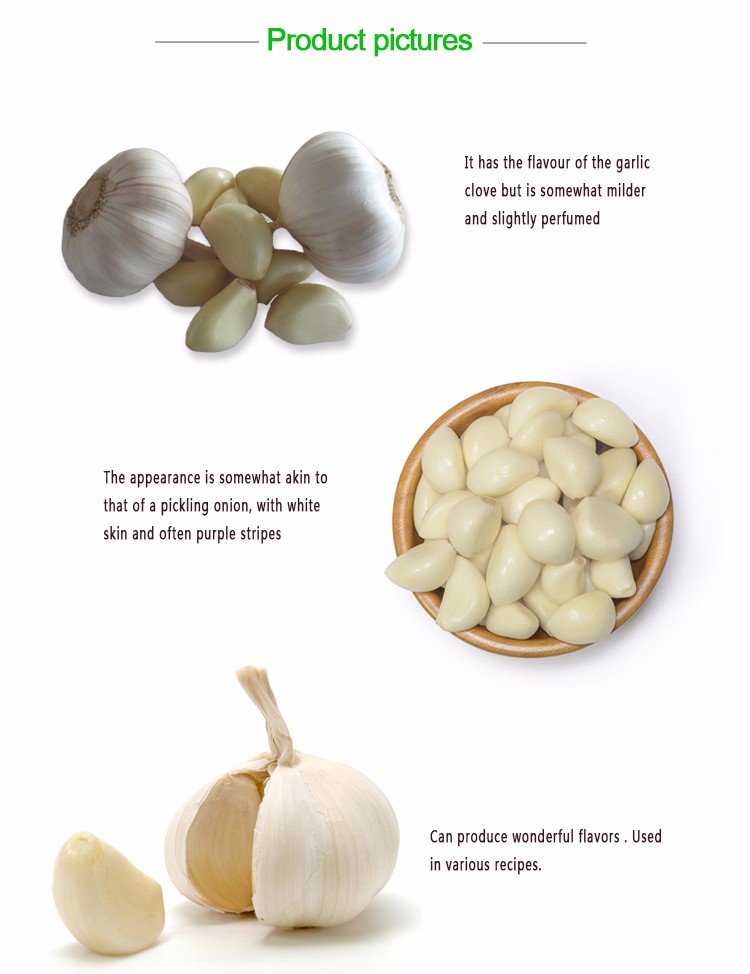 High quality vacuum packaging pure taste distributor peeled garlic