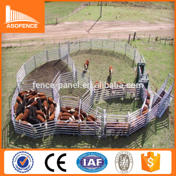 Cattle ranch yards equipment used for farm handling Equipment