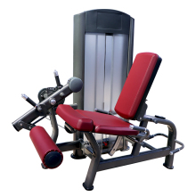 Dual function leg extension/prone leg curl machine