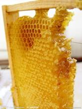 Premium quality fresh pure natural comb honey