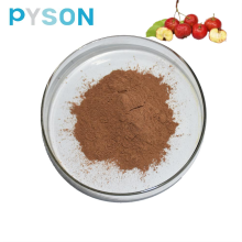 Pure Natural Hawthorn Leaf Extract Powder