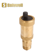 Automatic Air Vent c/w check valve