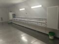 linea di verniciatura a spruzzo uv automatica