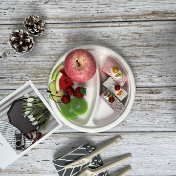 Biodegradable compartment plates disposable bagasse plates