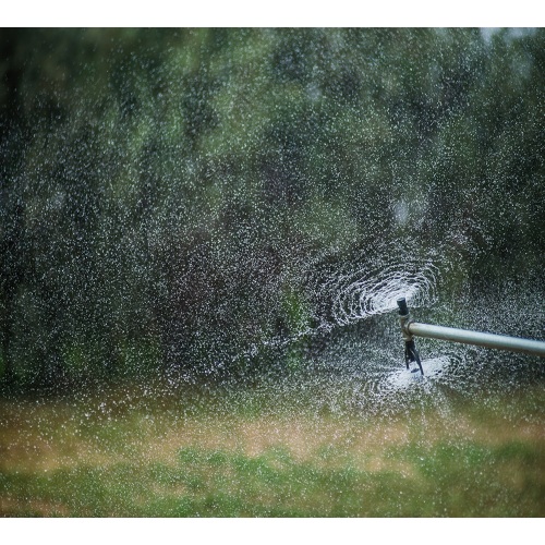 irrigation system for sugarcane