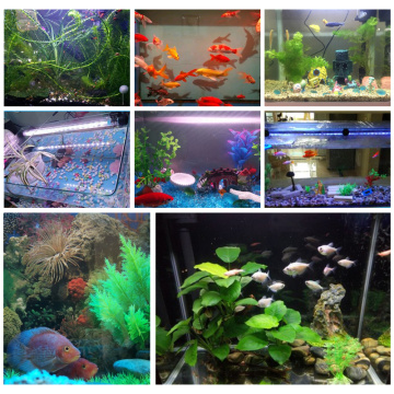 Multicolor LED Fish Tank LED Lights with Timer