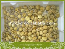 Whole Brined Button Mushroom in Drum