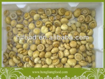 Whole Brined Button Mushroom in Drum