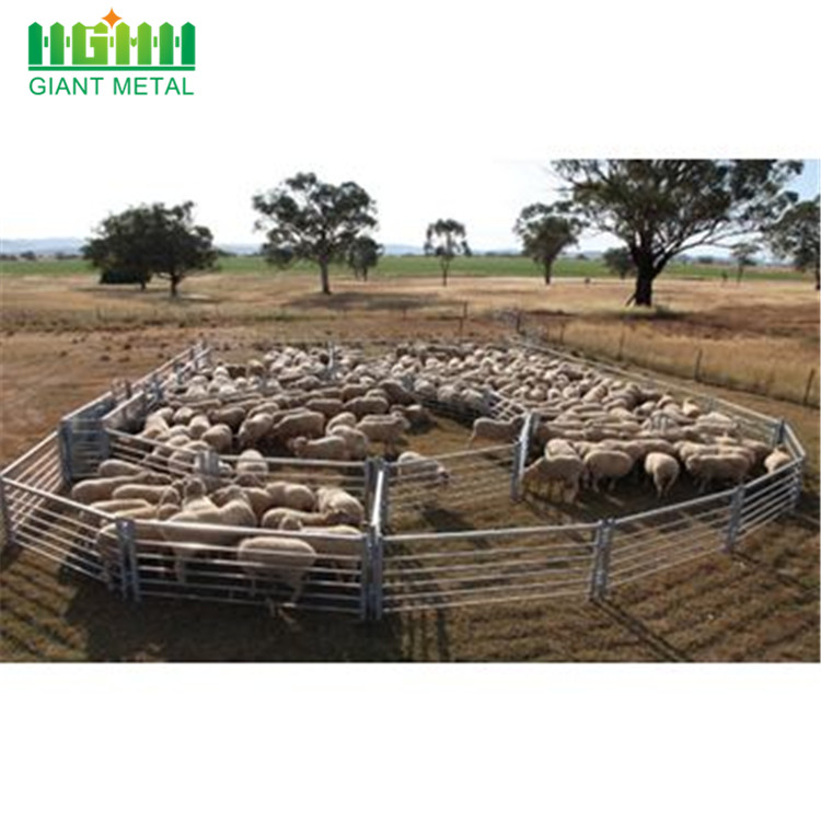 PVC Coated Livestock Farm Fence/ Horse Fence