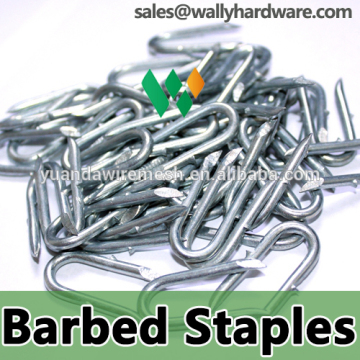 Barbed Staple - China Double Barbed Staple